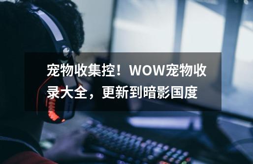 宠物收集控！WOW宠物收录大全，更新到暗影国度-第1张-游戏资讯-龙启网络