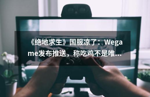 《绝地求生》国服凉了：Wegame发布推送，称吃鸡不是唯一选择-第1张-游戏资讯-龙启网络