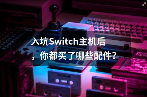 入坑Switch主机后，你都买了哪些配件？-第1张-游戏资讯-龙启网络