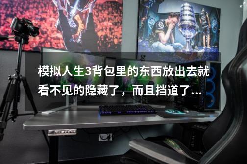 模拟人生3背包里的东西放出去就看不见的隐藏了，而且挡道了。,模拟人生3kinkyworld冲突-第1张-游戏资讯-龙启网络