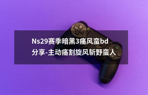 Ns29赛季暗黑3痛风蛮bd分享-主动痛割旋风斩野蛮人...-第1张-游戏资讯-龙启网络