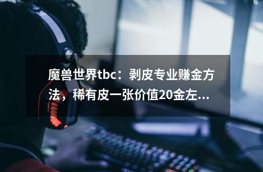 魔兽世界tbc：剥皮专业赚金方法，稀有皮一张价值20金左右-第1张-游戏资讯-龙启网络