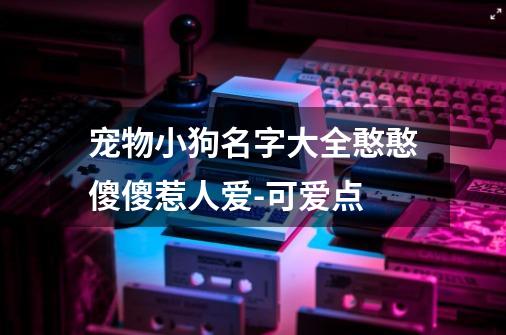 宠物小狗名字大全憨憨傻傻惹人爱-可爱点-第1张-游戏资讯-龙启网络