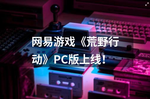 网易游戏《荒野行动》PC版上线！-第1张-游戏资讯-龙启网络