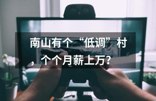 南山有个“低调”村，个个月薪上万？-第1张-游戏资讯-龙启网络