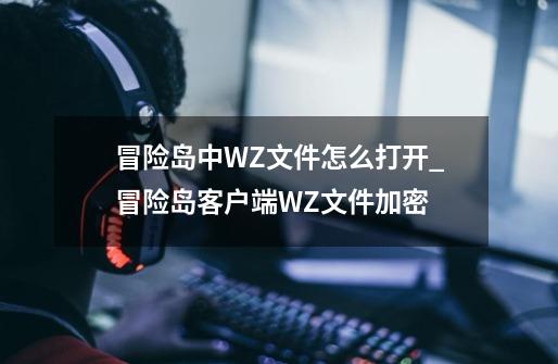 冒险岛中WZ文件怎么打开_冒险岛客户端WZ文件加密-第1张-游戏资讯-龙启网络