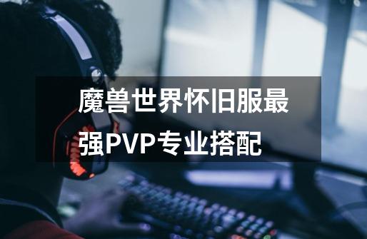 魔兽世界怀旧服最强PVP专业搭配-第1张-游戏资讯-龙启网络