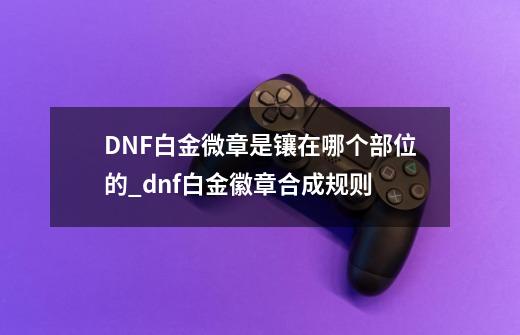 DNF白金微章是镶在哪个部位的_dnf白金徽章合成规则-第1张-游戏资讯-龙启网络