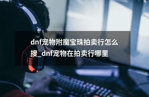 dnf宠物附魔宝珠拍卖行怎么搜_dnf宠物在拍卖行哪里-第1张-游戏资讯-龙启网络