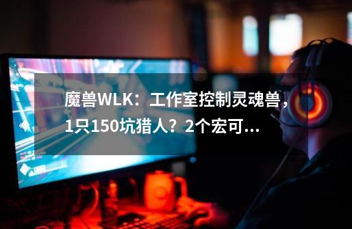 魔兽WLK：工作室控制灵魂兽，1只150坑猎人？2个宏可提升获取几率-第1张-游戏资讯-龙启网络