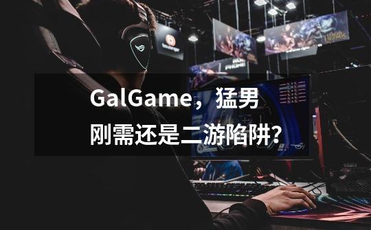 GalGame，猛男刚需还是二游陷阱？-第1张-游戏资讯-龙启网络