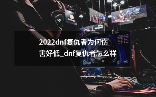 2022dnf复仇者为何伤害好低_dnf复仇者怎么样-第1张-游戏资讯-龙启网络