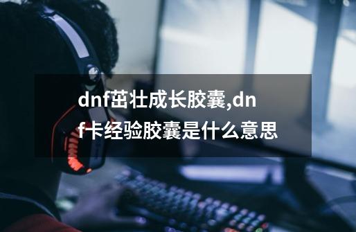 dnf茁壮成长胶囊,dnf卡经验胶囊是什么意思-第1张-游戏资讯-龙启网络