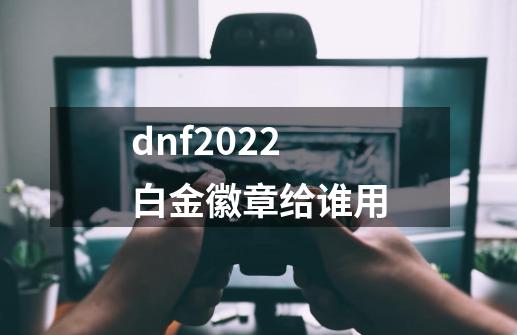 dnf2022白金徽章给谁用-第1张-游戏资讯-龙启网络