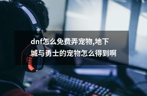 dnf怎么免费弄宠物,地下城与勇士的宠物怎么得到啊-第1张-游戏资讯-龙启网络