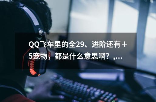 QQ飞车里的全29、进阶还有＋5宠物，都是什么意思啊？,飞车情侣贵族宠物所有形态-第1张-游戏资讯-龙启网络