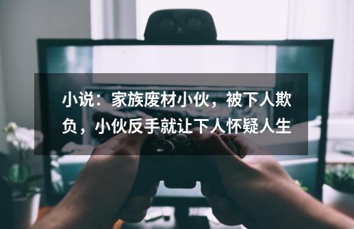 小说：家族废材小伙，被下人欺负，小伙反手就让下人怀疑人生-第1张-游戏资讯-龙启网络