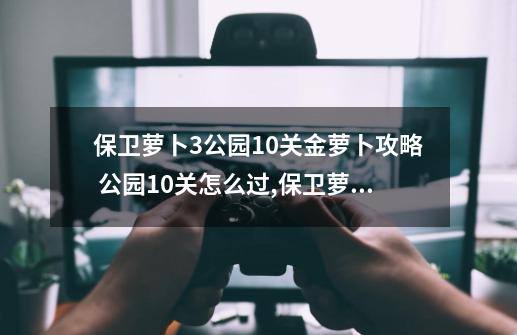 保卫萝卜3公园10关金萝卜攻略 公园10关怎么过,保卫萝卜3公园攻略图解法35-第1张-游戏资讯-龙启网络