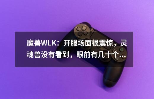 魔兽WLK：开服场面很震惊，灵魂兽没有看到，眼前有几十个猎人-第1张-游戏资讯-龙启网络