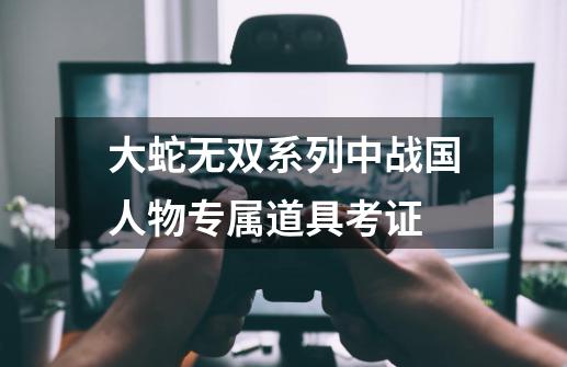 大蛇无双系列中战国人物专属道具考证-第1张-游戏资讯-龙启网络