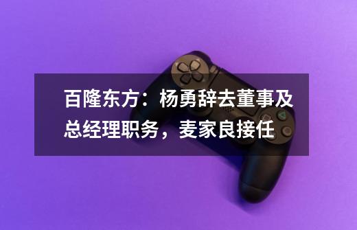 百隆东方：杨勇辞去董事及总经理职务，麦家良接任-第1张-游戏资讯-龙启网络