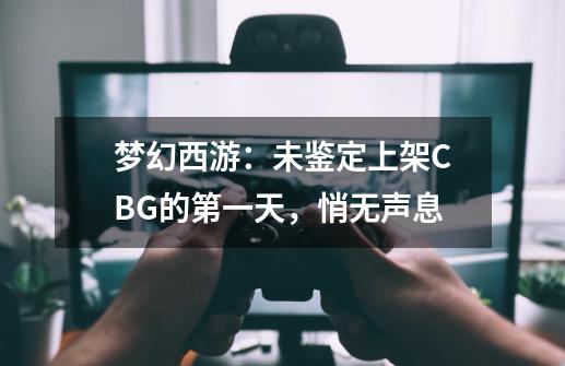 梦幻西游：未鉴定上架CBG的第一天，悄无声息-第1张-游戏资讯-龙启网络