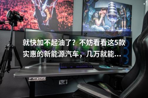 就快加不起油了？不妨看看这5款实惠的新能源汽车，几万就能拿下-第1张-游戏资讯-龙启网络